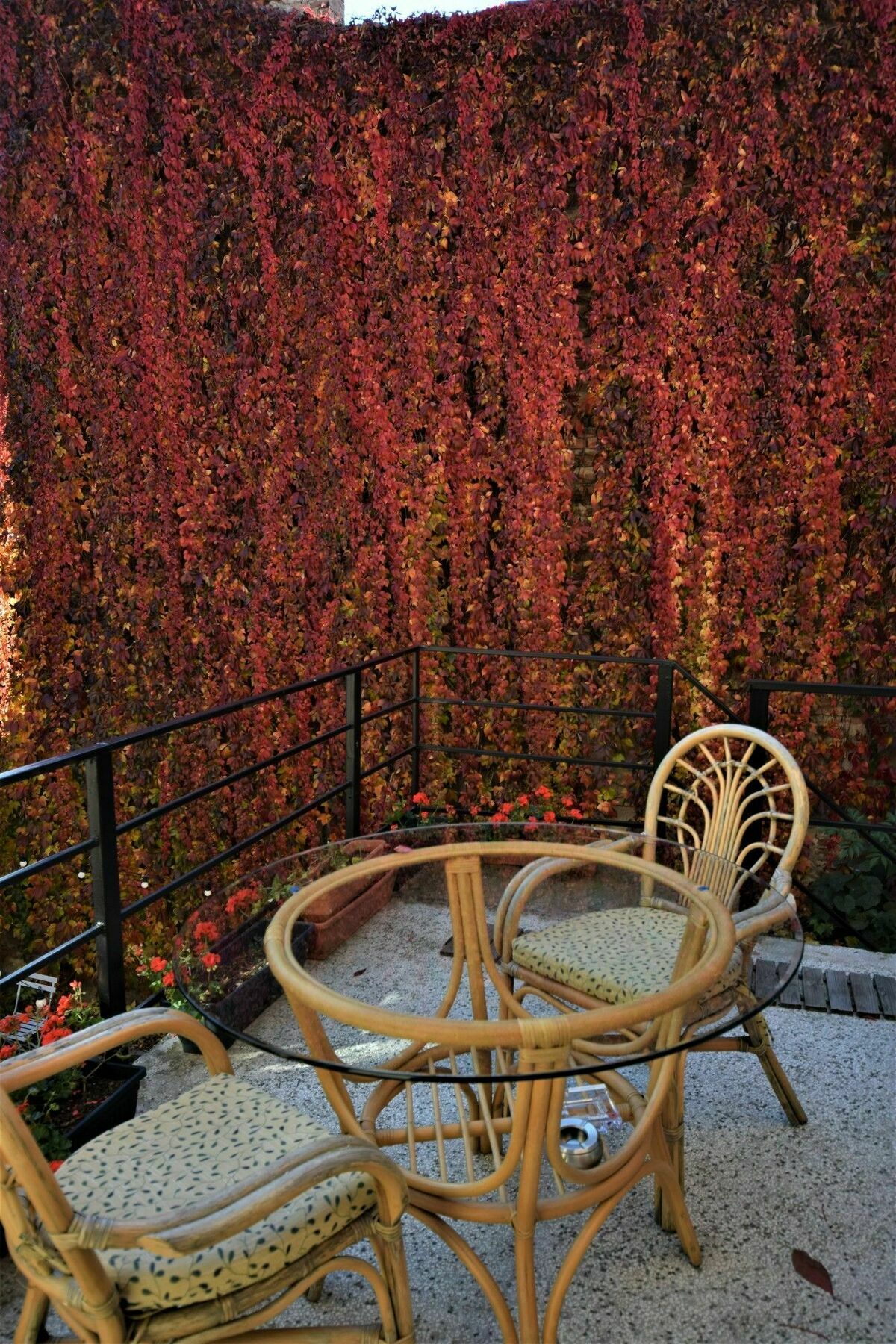 Bed and Breakfast Goldsmith Hermannstadt Exterior foto